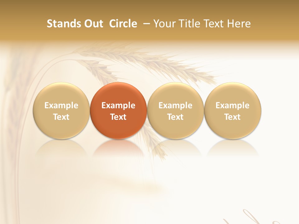 Wheat Agricultural Plant PowerPoint Template