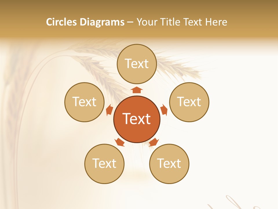 Wheat Agricultural Plant PowerPoint Template