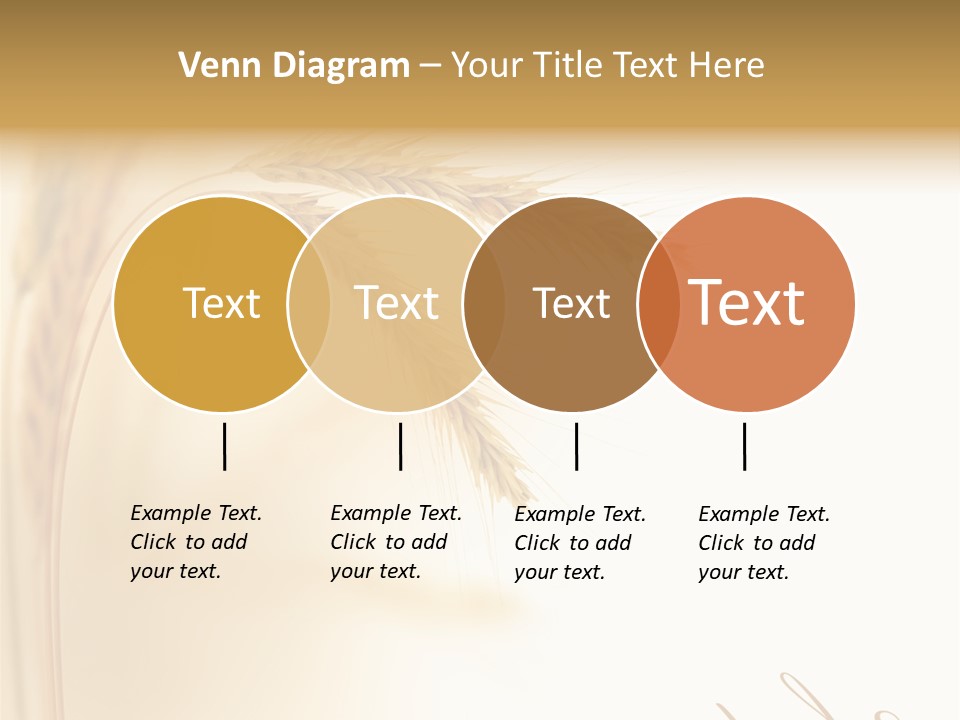 Wheat Agricultural Plant PowerPoint Template
