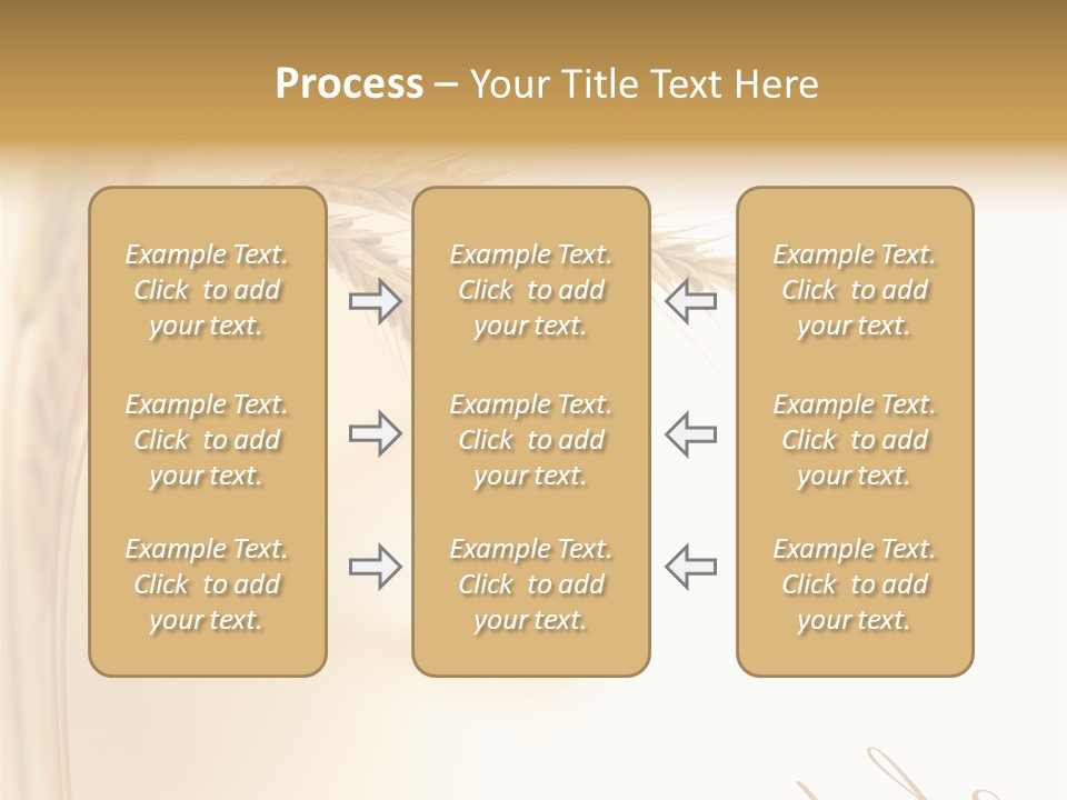 Wheat Agricultural Plant PowerPoint Template