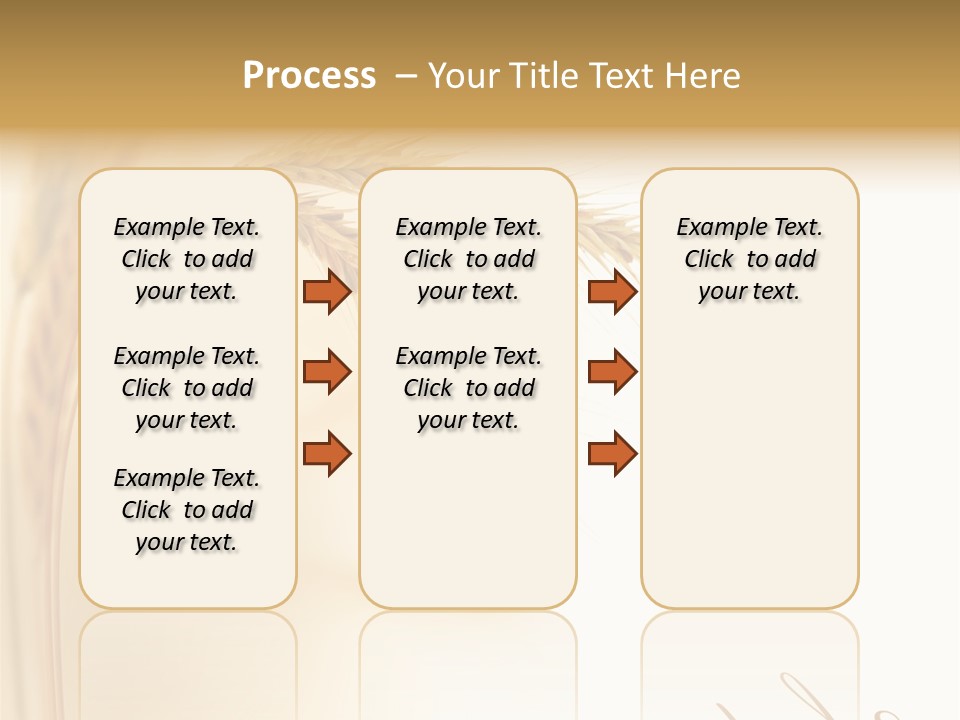 Wheat Agricultural Plant PowerPoint Template