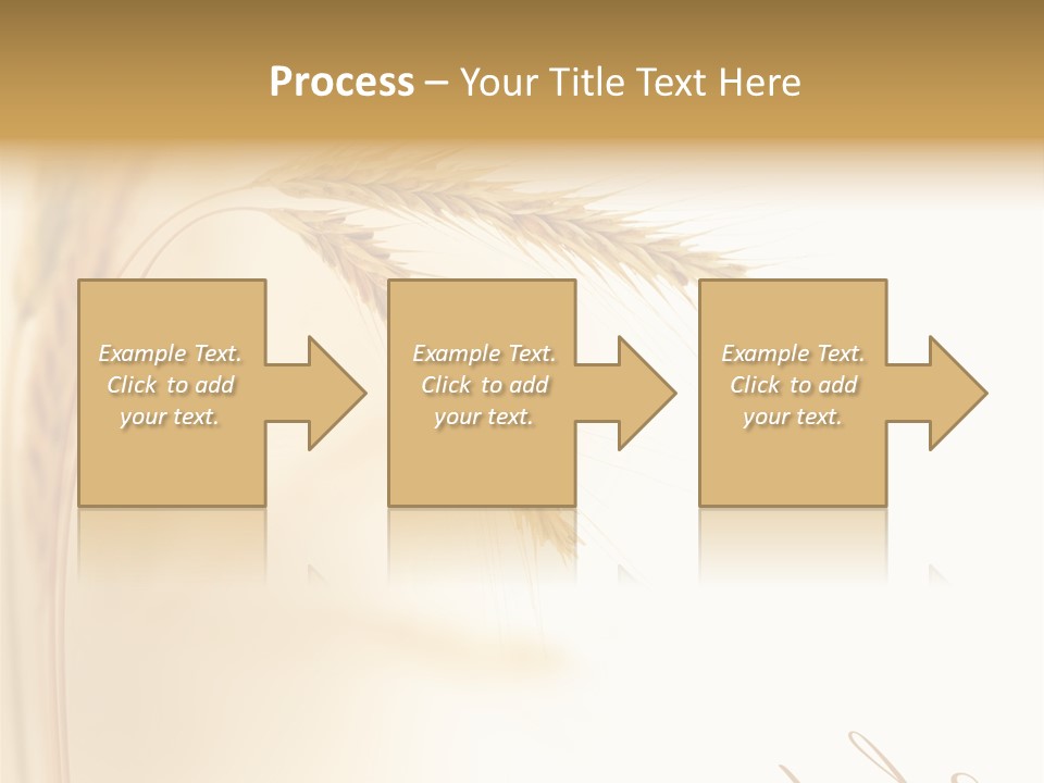 Wheat Agricultural Plant PowerPoint Template
