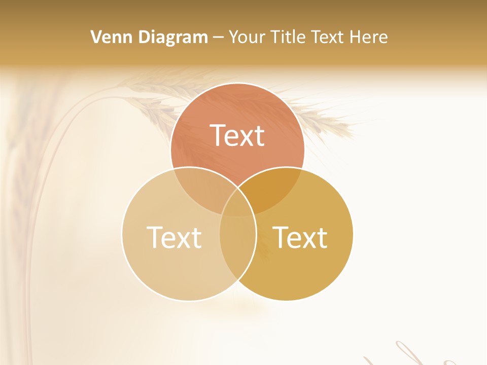 Wheat Agricultural Plant PowerPoint Template