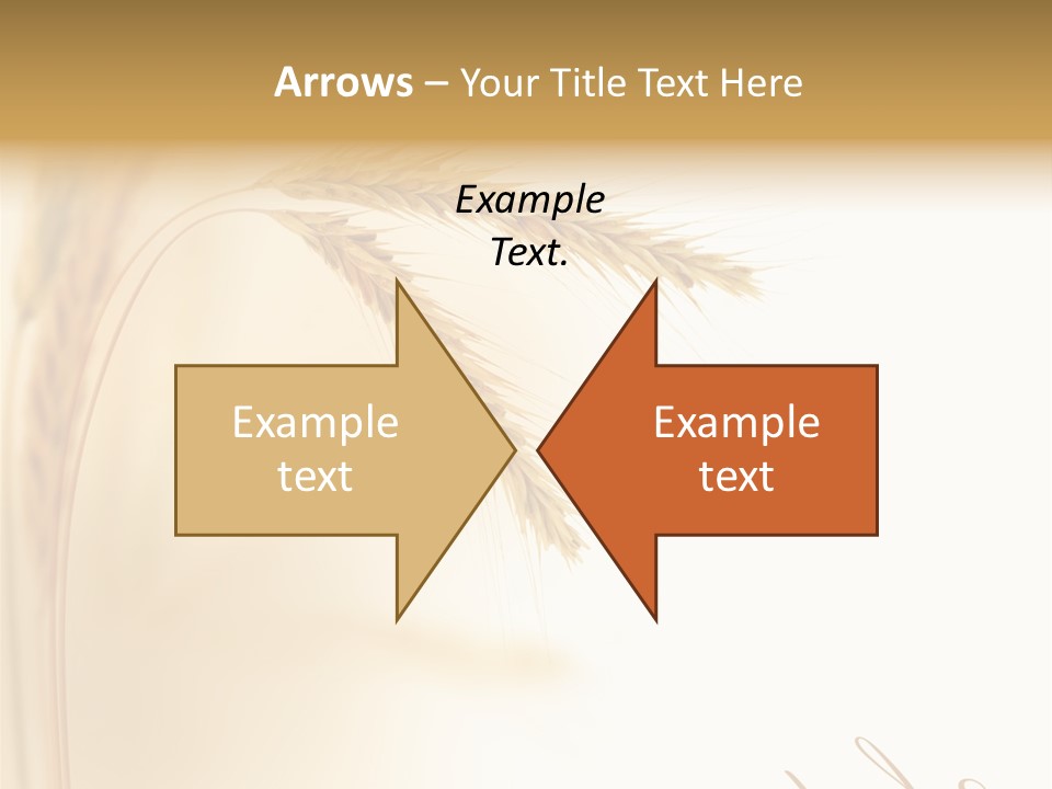 Wheat Agricultural Plant PowerPoint Template