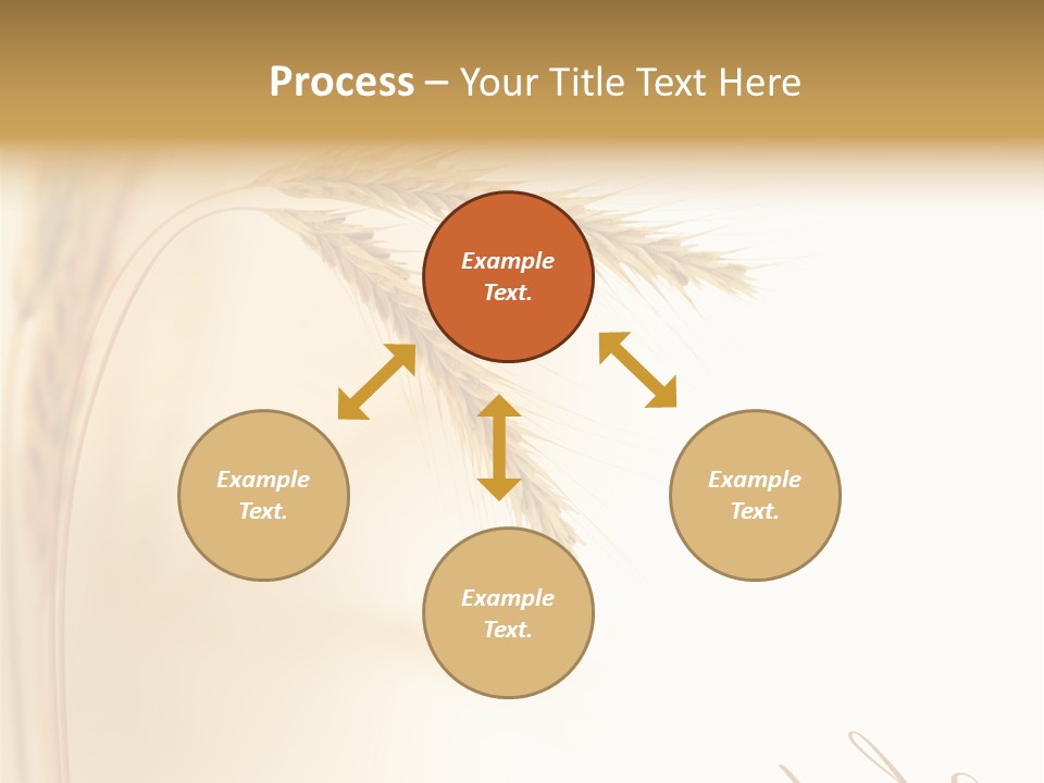 Wheat Agricultural Plant PowerPoint Template