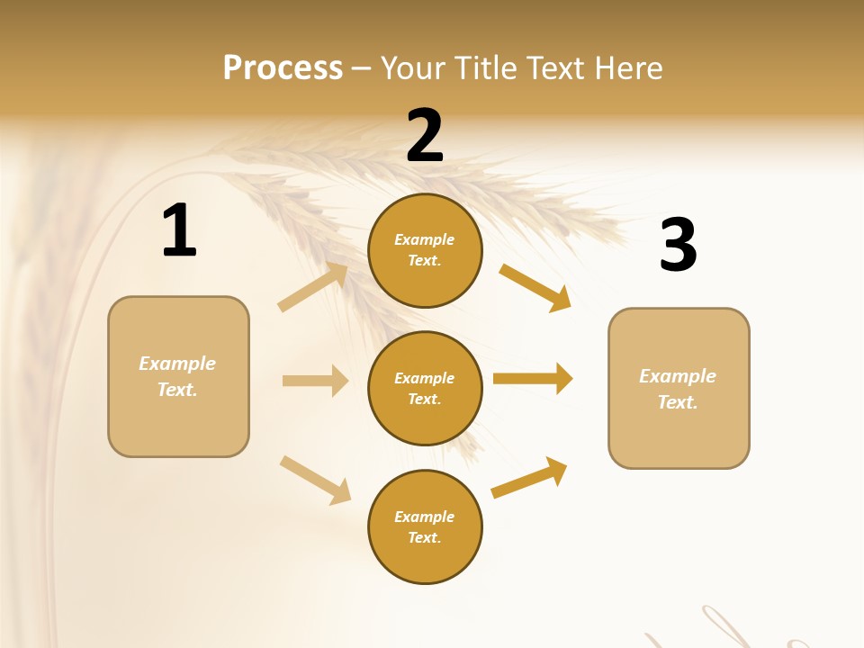 Wheat Agricultural Plant PowerPoint Template