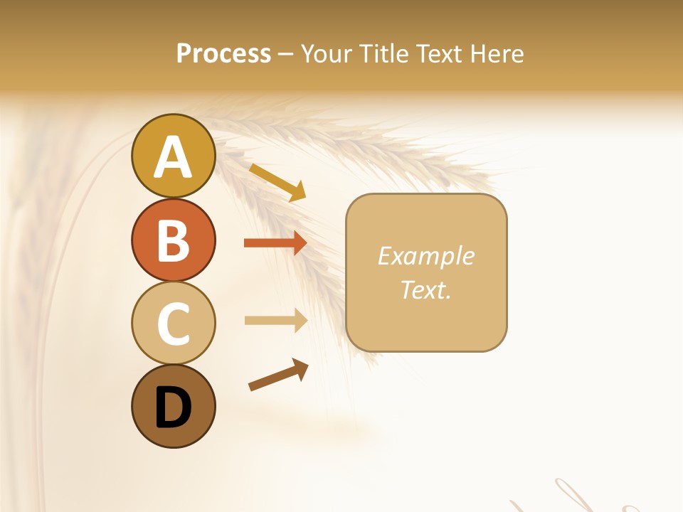 Wheat Agricultural Plant PowerPoint Template