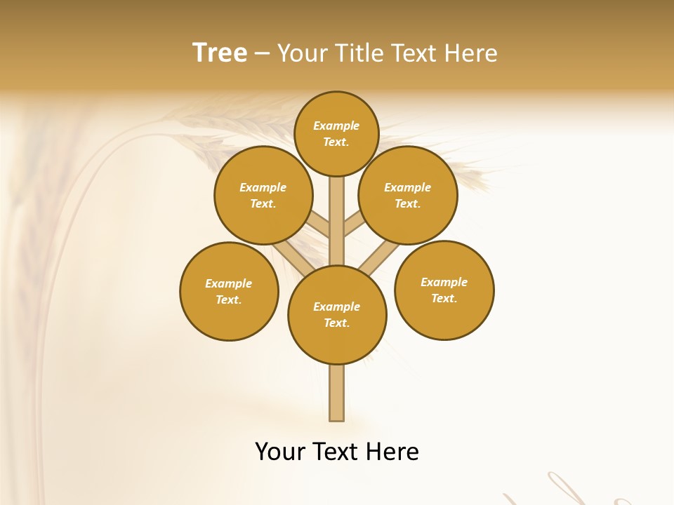 Wheat Agricultural Plant PowerPoint Template