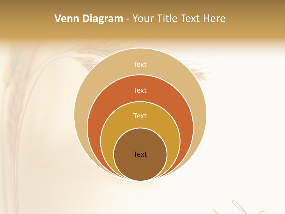 Wheat Agricultural Plant PowerPoint Template