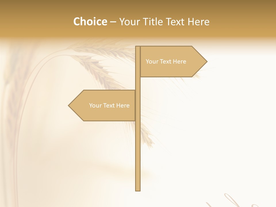 Wheat Agricultural Plant PowerPoint Template