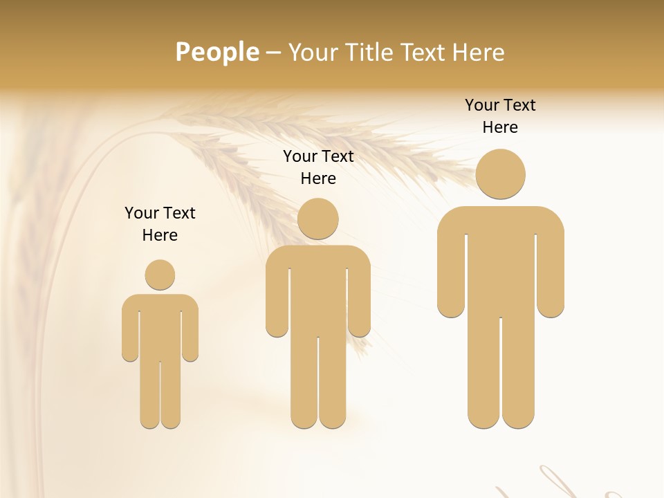 Wheat Agricultural Plant PowerPoint Template