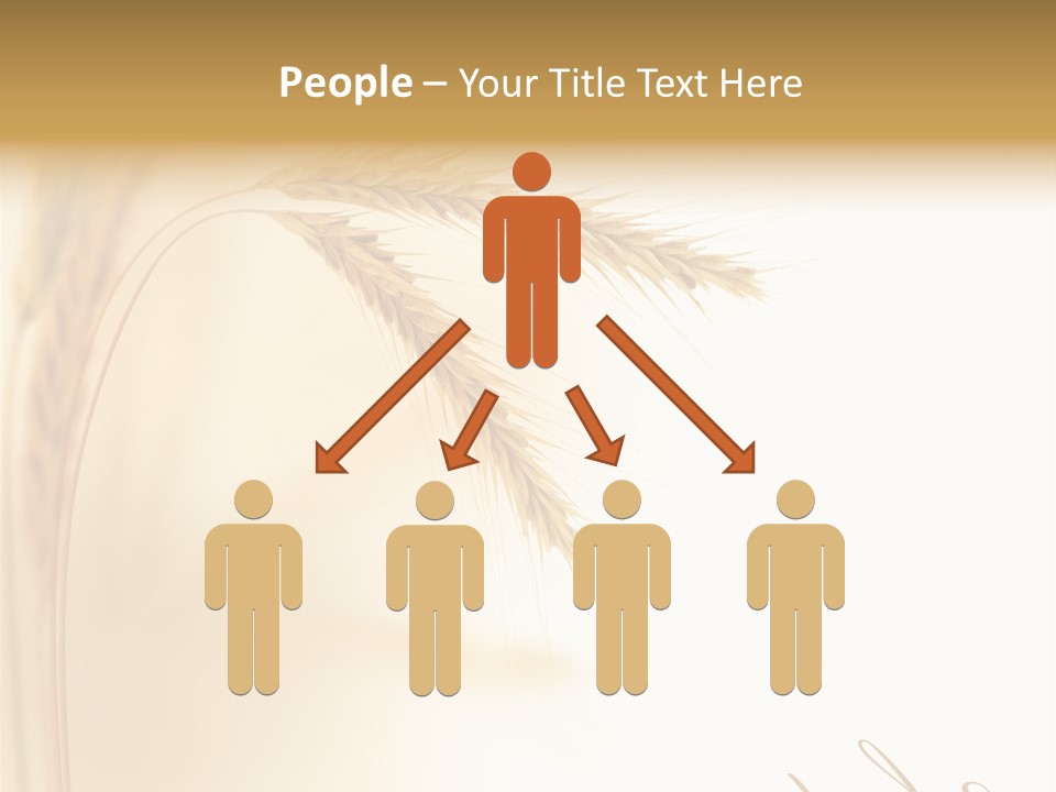 Wheat Agricultural Plant PowerPoint Template