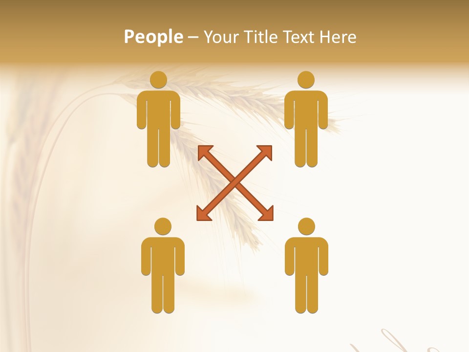 Wheat Agricultural Plant PowerPoint Template