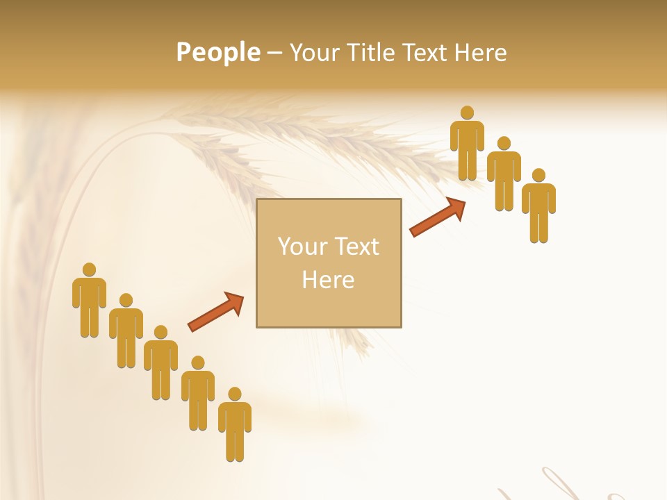 Wheat Agricultural Plant PowerPoint Template