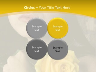 Portrait Young Bandage PowerPoint Template