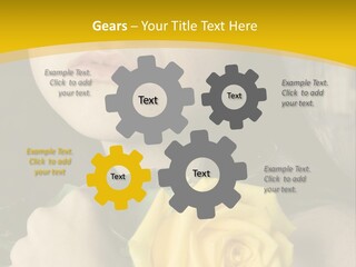 Portrait Young Bandage PowerPoint Template