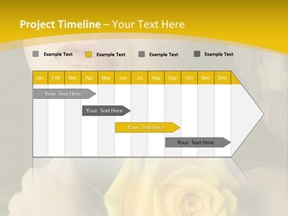 Portrait Young Bandage PowerPoint Template