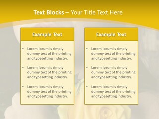 Portrait Young Bandage PowerPoint Template