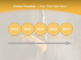Performance Active Beautiful PowerPoint Template