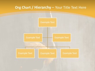 Performance Active Beautiful PowerPoint Template