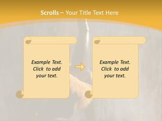 Performance Active Beautiful PowerPoint Template
