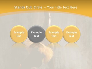 Performance Active Beautiful PowerPoint Template