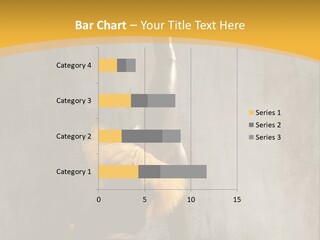 Performance Active Beautiful PowerPoint Template