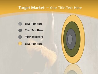 Performance Active Beautiful PowerPoint Template