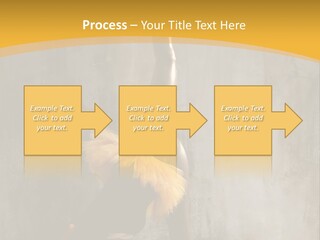 Performance Active Beautiful PowerPoint Template