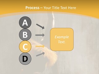 Performance Active Beautiful PowerPoint Template