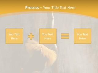 Performance Active Beautiful PowerPoint Template