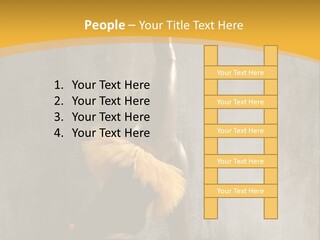 Performance Active Beautiful PowerPoint Template