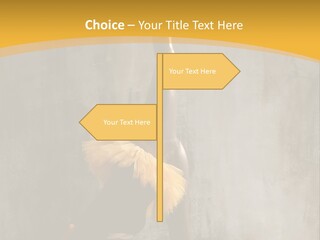 Performance Active Beautiful PowerPoint Template