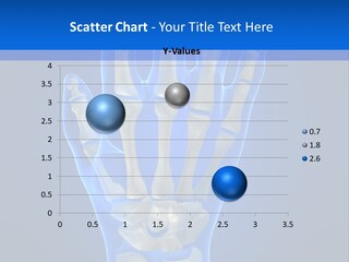 Joint Phalanx Bones PowerPoint Template