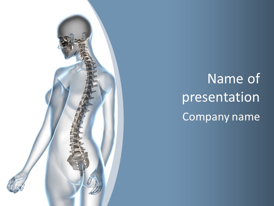 Anatomy Skull Vertebra PowerPoint Template