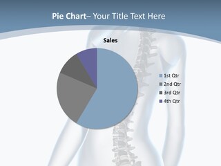 Anatomy Skull Vertebra PowerPoint Template