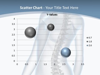 Anatomy Skull Vertebra PowerPoint Template