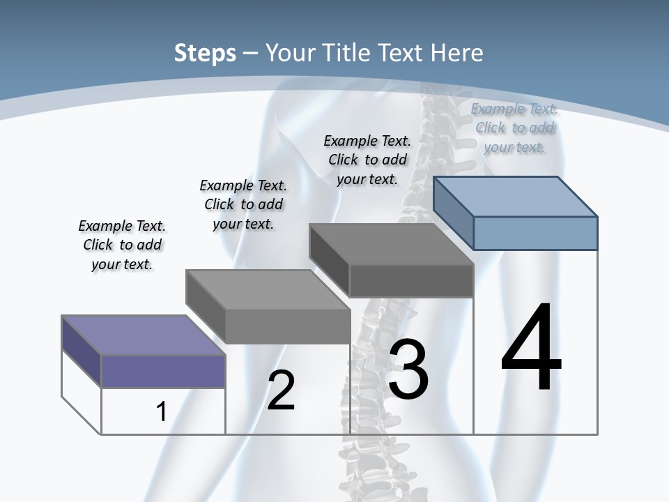 Anatomy Skull Vertebra PowerPoint Template