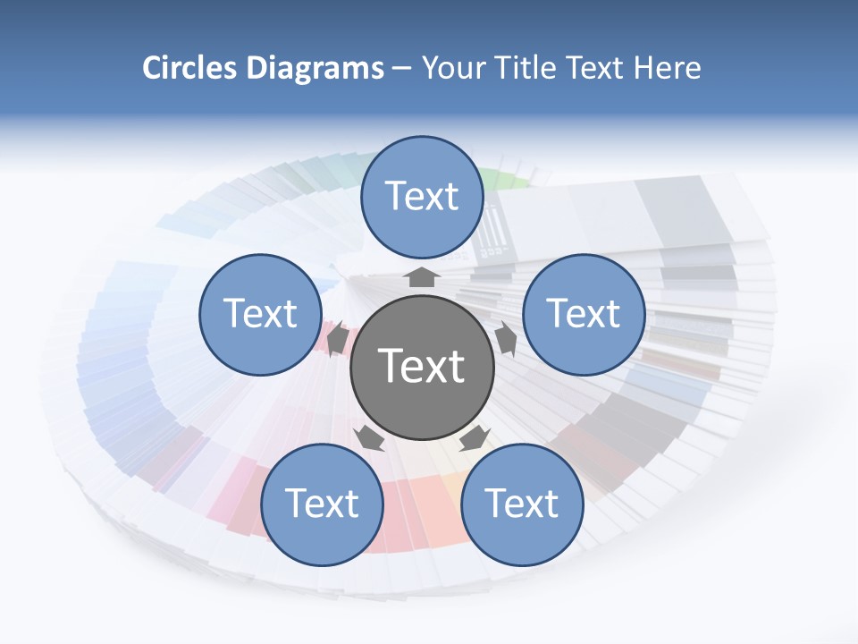 Matching Reproduction Creativity PowerPoint Template