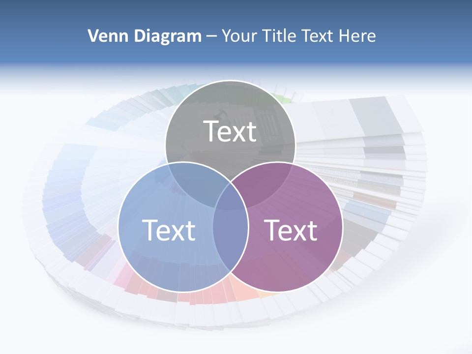 Matching Reproduction Creativity PowerPoint Template