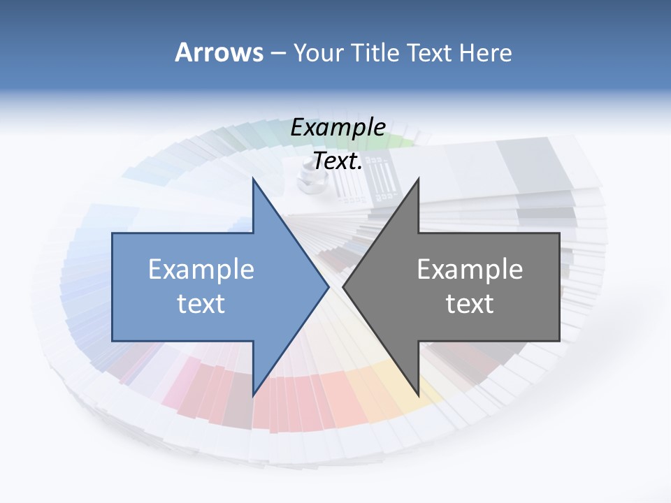 Matching Reproduction Creativity PowerPoint Template
