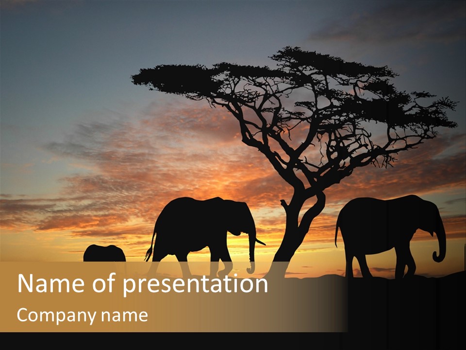 National African Herd PowerPoint Template