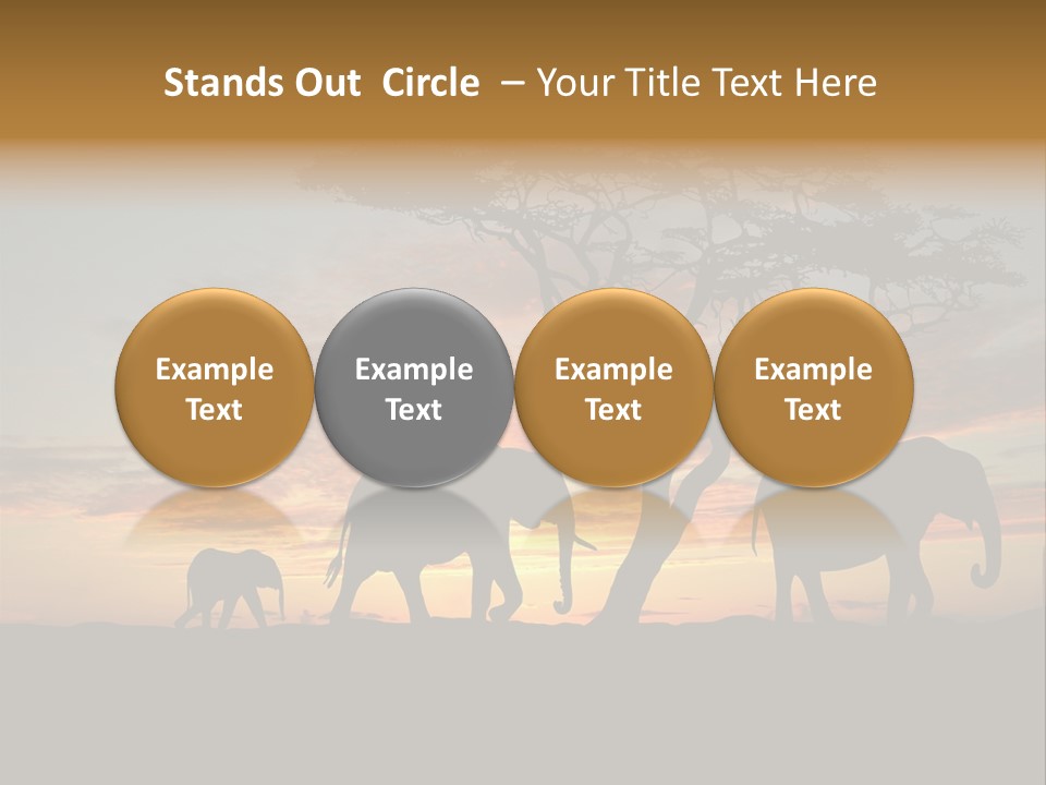 National African Herd PowerPoint Template