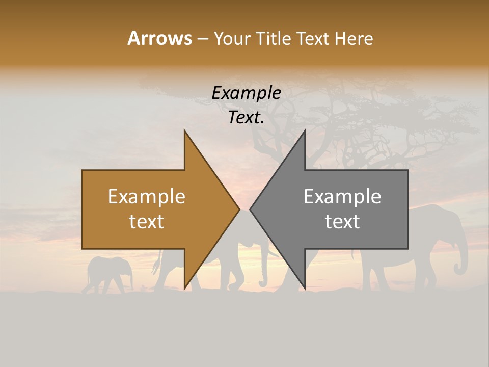 National African Herd PowerPoint Template