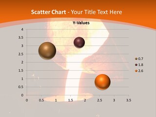 Process Stove Intensive PowerPoint Template