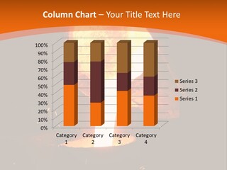 Process Stove Intensive PowerPoint Template