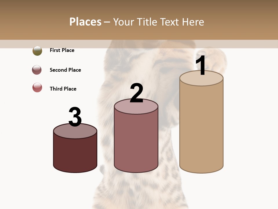 Kitty Cute Companion PowerPoint Template