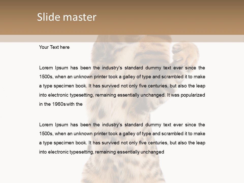 Kitty Cute Companion PowerPoint Template