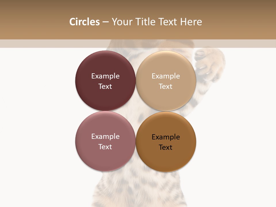 Kitty Cute Companion PowerPoint Template