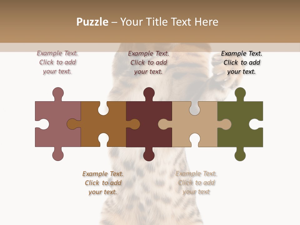 Kitty Cute Companion PowerPoint Template